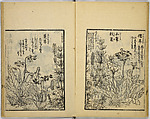 Model Painting Book, Unidentified artist Japanese, Fifty-seven black and white illustrations; ink on paper, Japan