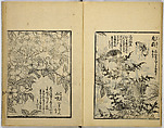 Model Painting Book, Unidentified artist Japanese, Fifty-seven black and white illustrations; ink on paper, Japan
