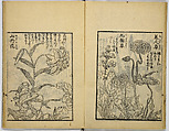 Model Painting Book, Unidentified artist Japanese, Fifty-seven black and white illustrations; ink on paper, Japan