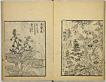 Model Painting Book, Unidentified artist Japanese, Fifty-seven black and white illustrations; ink on paper, Japan