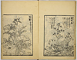 Model Painting Book, Unidentified artist Japanese, Fifty-seven black and white illustrations; ink on paper, Japan