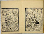 Model Painting Book, Unidentified artist Japanese, Fifty-seven black and white illustrations; ink on paper, Japan