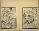 Model Painting Book, Unidentified artist Japanese, Fifty-seven black and white illustrations; ink on paper, Japan
