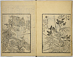 Model Painting Book, Unidentified artist Japanese, Fifty-seven black and white illustrations; ink on paper, Japan