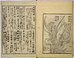 Model Painting Book, Unidentified artist Japanese, Fifty-seven black and white illustrations; ink on paper, Japan