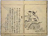 Book of Famous Japanese and Chinese Paintings, Ooka Shunboku (1680–1763), Twenty-five illustrated pages (5 originally black and white have been colored); ink and color on paper, Japan