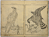Book of Famous Japanese and Chinese Paintings, Ooka Shunboku (1680–1763), Twenty-five illustrated pages (5 originally black and white have been colored); ink and color on paper, Japan