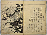 Book of Famous Japanese and Chinese Paintings, Ooka Shunboku (1680–1763), Twenty-five illustrated pages (5 originally black and white have been colored); ink and color on paper, Japan