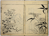 Book of Famous Japanese and Chinese Paintings, Ooka Shunboku (1680–1763), Twenty-five illustrated pages (5 originally black and white have been colored); ink and color on paper, Japan