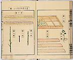 Illustrated book, Ink on paper, Japan