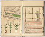 Illustrated book, Ink on paper, Japan