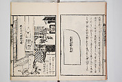 Illustrated Book of Floral Arrangements in the Mishō Style, Mishōsai Kōho (Japanese, 1791–1861), Monochrome woodblock printed book, Japan