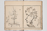 Illustrated Book of Floral Arrangements in the Mishō Style, Mishōsai Kōho (Japanese, 1791–1861), Monochrome woodblock printed book, Japan