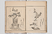 Illustrated Book of Floral Arrangements in the Mishō Style, Mishōsai Kōho (Japanese, 1791–1861), Monochrome woodblock printed book, Japan