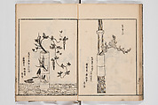 Illustrated Book of Floral Arrangements in the Mishō Style, Mishōsai Kōho (Japanese, 1791–1861), Monochrome woodblock printed book, Japan