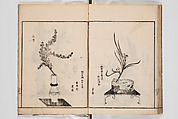 Illustrated Book of Floral Arrangements in the Mishō Style, Mishōsai Kōho (Japanese, 1791–1861), Monochrome woodblock printed book, Japan