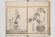 Illustrated Book of Floral Arrangements in the Mishō Style, Mishōsai Kōho (Japanese, 1791–1861), Monochrome woodblock printed book, Japan