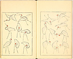 Illustrated Book, Katsushika Hokusai (Japanese, Tokyo (Edo) 1760–1849 Tokyo (Edo)), Ink on paper, Japan
