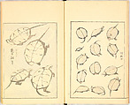 Illustrated Book, Katsushika Hokusai (Japanese, Tokyo (Edo) 1760–1849 Tokyo (Edo)), Ink on paper, Japan