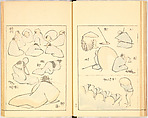 Illustrated Book, Katsushika Hokusai (Japanese, Tokyo (Edo) 1760–1849 Tokyo (Edo)), Ink on paper, Japan