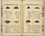Ancient and Modern; Various Usages of Tokio Japan, Ink on paper, Japan