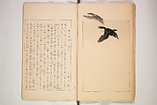 World of Fine Arts (Bijutsu Sekai) 美術世界, Set of twenty-five volumes, Japan