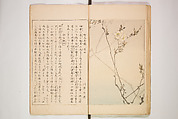 World of Fine Arts (Bijutsu Sekai) 美術世界, Set of twenty-five volumes, Japan