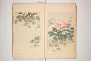World of Fine Arts (Bijutsu Sekai) 美術世界, Set of twenty-five volumes, Japan