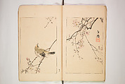 World of Fine Arts (Bijutsu Sekai) 美術世界, Set of twenty-five volumes, Japan