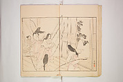 Illustrated Journal of Japanese History no. 1-10 (Nihon Rekishi Gaho) 日本歴史画報（にほんれきしがほう）, Matsumoto Fūko 松本楓湖 (Japanese, 1840–1923), Set of ten volumes, Japan