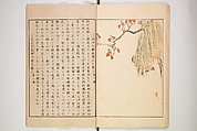 Illustrated Journal of Japanese History no. 1-10 (Nihon Rekishi Gaho) 日本歴史画報（にほんれきしがほう）, Matsumoto Fūko 松本楓湖 (Japanese, 1840–1923), Set of ten volumes, Japan