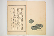 Illustrated Journal of Japanese History no. 1-10 (Nihon Rekishi Gaho) 日本歴史画報（にほんれきしがほう）, Matsumoto Fūko 松本楓湖 (Japanese, 1840–1923), Set of ten volumes, Japan