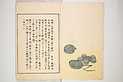 Illustrated Journal of Japanese History no. 1-10 (Nihon Rekishi Gaho) 日本歴史画報（にほんれきしがほう）, Matsumoto Fūko 松本楓湖 (Japanese, 1840–1923), Set of ten volumes, Japan