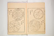 New Ideas for Designs (Shin’an ishō chigozakura) 新案意匠知古佐久良 （しんあんいしょうちござくら）, Ink on paper, Japan