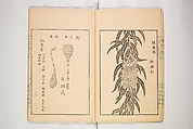 New Ideas for Designs (Shin’an ishō chigozakura) 新案意匠知古佐久良 （しんあんいしょうちござくら）, Ink on paper, Japan