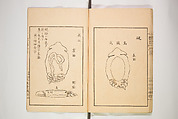 New Ideas for Designs (Shin’an ishō chigozakura) 新案意匠知古佐久良 （しんあんいしょうちござくら）, Ink on paper, Japan