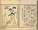 Kosode Pattern Book (On-Hiinagata), vol. 2, One of a set of two woodblock-printed books; ink and color on paper, Japan