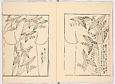 Miyako hinagata, Vol. 7 (kosode patterns from the imperial capital), Woodblock-printed book, Japan