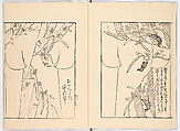 Miyako hinagata, Vol. 7 (kosode patterns from the imperial capital), Woodblock-printed book, Japan