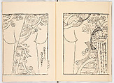 Miyako hinagata, Vol. 7 (kosode patterns from the imperial capital), Woodblock-printed book, Japan