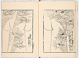 Miyako hinagata, Vol. 7 (kosode patterns from the imperial capital), Woodblock-printed book, Japan