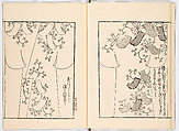 Miyako hinagata, Vol. 7 (kosode patterns from the imperial capital), Woodblock-printed book, Japan