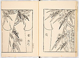 Miyako hinagata, Vol. 9 (kosode patterns from the imperial capital), Woodblock-printed book, Japan