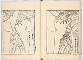 Miyako hinagata, Vol. 10 (kosode patterns from the imperial capital), Woodblock-printed book, Japan