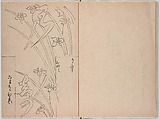 Untitled (frontispiece description: Tōfukumonin yogo ? kitsuke oiwa (celebration of Tofukumonin …), Woodblock-printed book, Japan