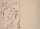 Untitled (frontispiece description: Tōfukumonin yogo ? kitsuke oiwa (celebration of Tofukumonin …), Woodblock-printed book, Japan