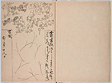 Untitled (frontispiece description: Tōfukumonin yogo ? kitsuke oiwa (celebration of Tofukumonin …), Woodblock-printed book, Japan