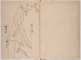 Untitled (frontispiece description: Tōfukumonin yogo ? kitsuke oiwa (celebration of Tofukumonin …), Woodblock-printed book, Japan