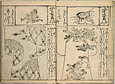 Order Book of Kosode Patterns (Chūmon no hiinagata/Hiinagata chūmon chō), Imura Katsukichi (Japanese,  active early 18th century), Woodblock-printed book; ink on paper, Japan
