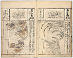(Untitled) Volume 2, Woodblock-printed book, Japan